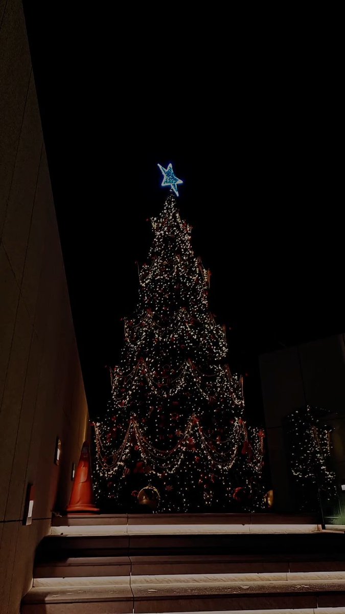 🌲 #MerryChristmas