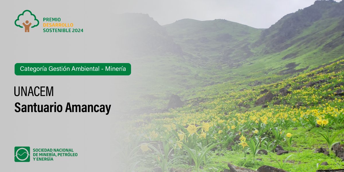 SNMPE Perú (@snmpeperu) on Twitter photo Ganadores del #PremioDesarrolloSostenible2024| GESTIÓN AMBIENTAL. El Santuario de Amancay de <a href="/UNACEMoficial/">UNACEM Perú</a> es un espacio natural en las lomas de Quebrada Río Seco, un Área de Conservación Privada (ACP), cuya creación fue promovida por la compañía. bit.ly/49LSJMP Ganadores del #PremioDesarrolloSostenible2024| GESTIÓN AMBIENTAL. El Santuario de Amancay de <a href="/UNACEMoficial/">UNACEM Perú</a> es un espacio natural en las lomas de Quebrada Río Seco, un Área de Conservación Privada (ACP), cuya creación fue promovida por la compañía. bit.ly/49LSJMP