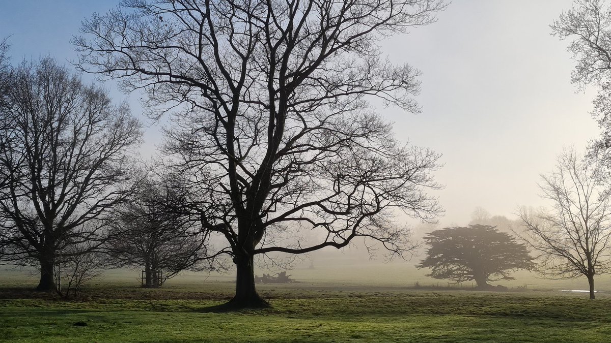 pinlu's tweet photo. Misty meadow of Beningbrough Hall https://t.co/iQAxUuWAvh