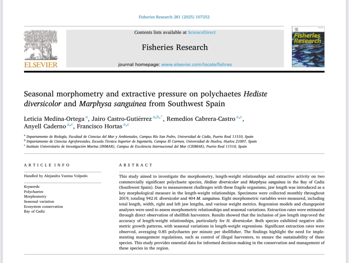 LeticiaEmeO's tweet photo. 🎉 ¡Me complace anunciar la publicación de mi primer artículo científico! 🎉
Titulado: "Seasonal morphometry and extractive pressure on polychaetes Hediste diversicolor and Marphysa sanguinea from Southwest Spain". 🪱
https://t.co/JBiotsdhLQ https://t.co/aI7Qkh1LTe
