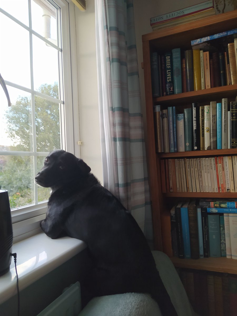 Rosy Cole Author tweet media