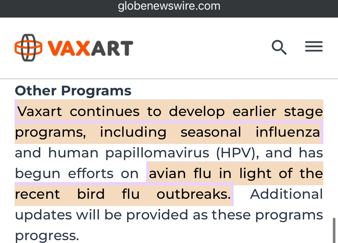 Dogtor🎰📈 tweet media