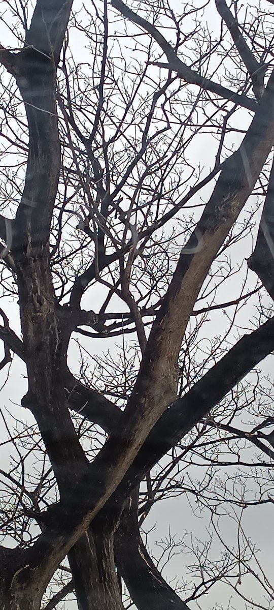 Nada como disfrutar un lindo paisaje