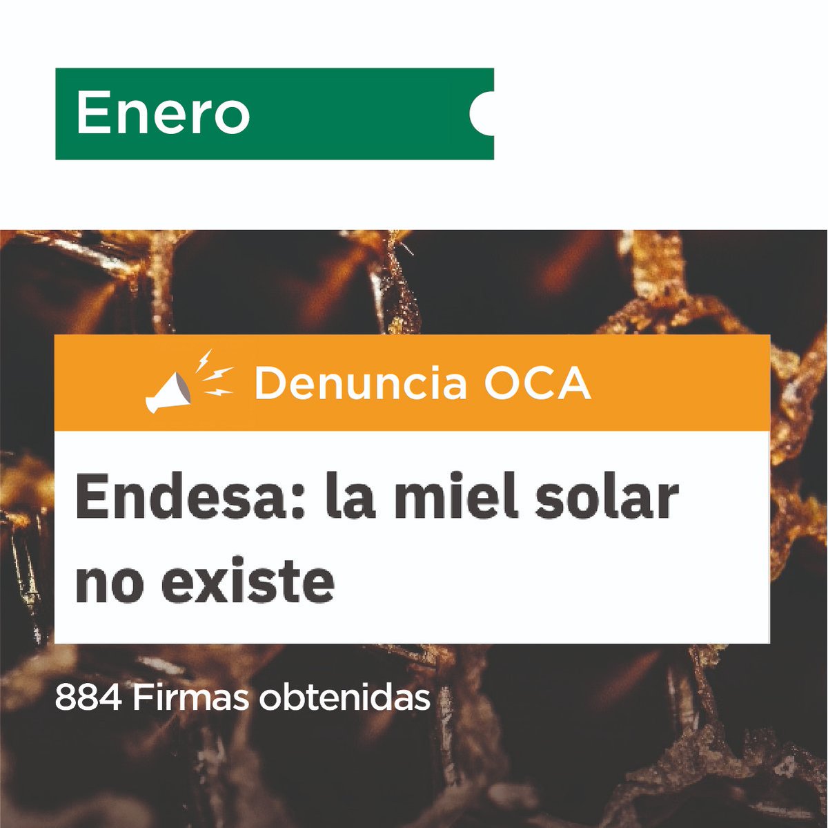 🔍 Aquí te dejamos un resumen de algunas de las acciones realizadas en 2024.