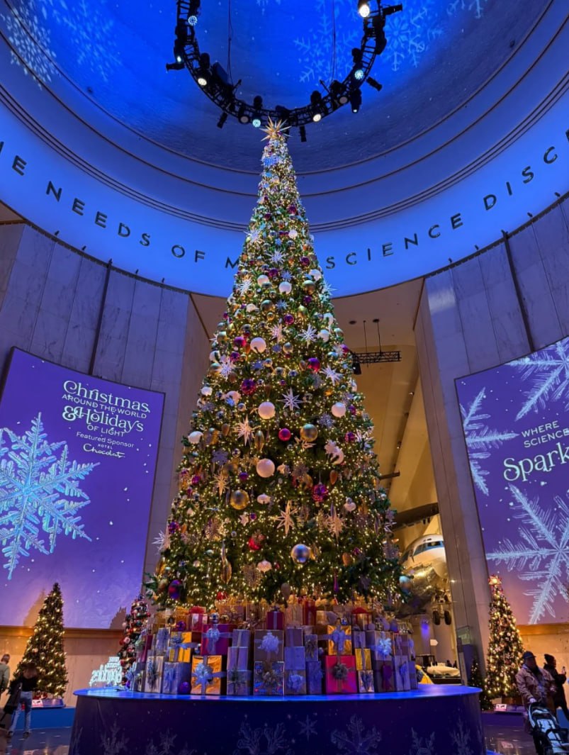 Naevia333's tweet image. Check out these stunning Christmas lights reflecting on the Chicago River! ✨ #ChicagoRiver #ChristmasMagic