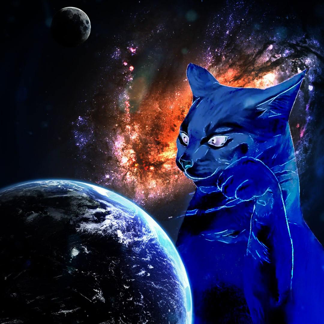 @0xRamonos Hey old friend. The time has come. $TAPCAT world order in honor of a viral meme.

CA: C4NXsXoG8MmDjhanrkN1jonJuiT2KBkuYq1HQTampump