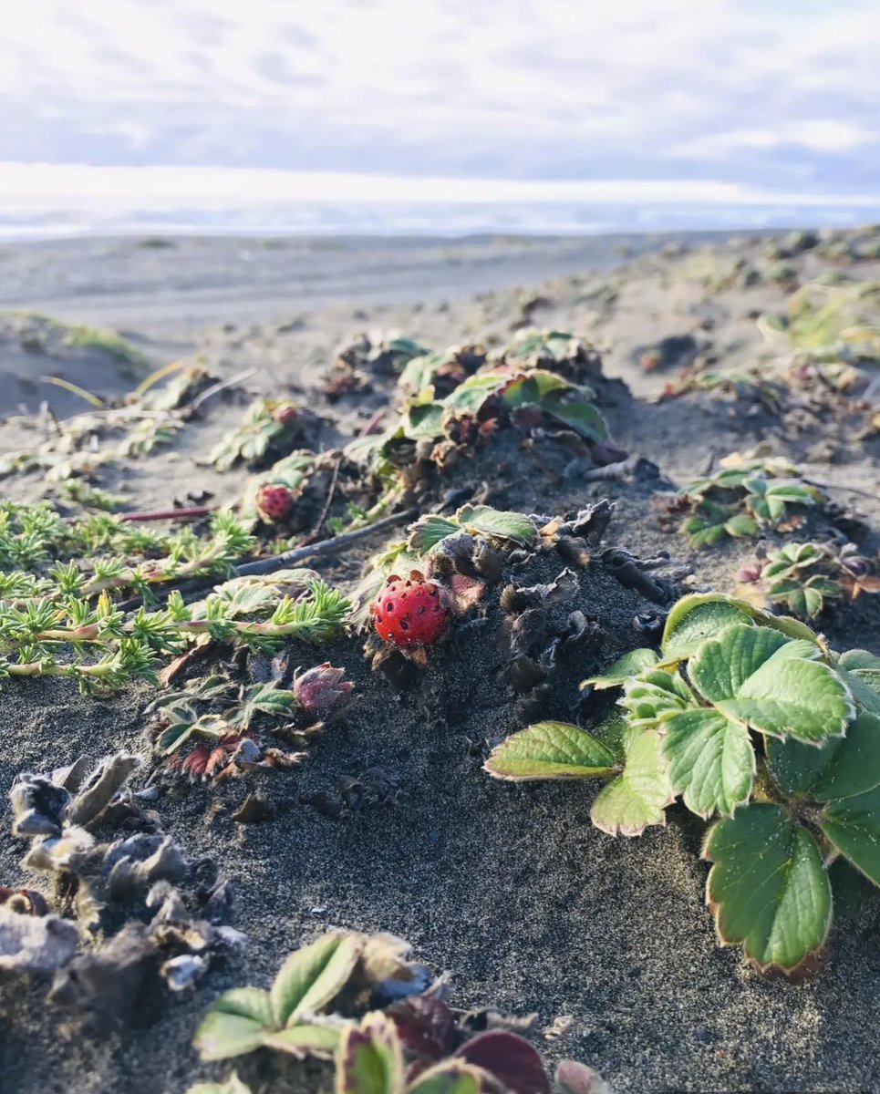 stewart waine tweet media