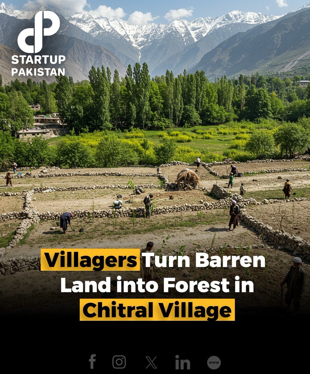 PakStartup's tweet image. In a remarkable initiative, the residents of Dizg village in Upper Chitral have transformed over 30 acres of barren land into a flourishing forest. '

#Chitral #EnvironmentalRestoration #CommunityEffort #SolarPoweredIrrigation #Sustainability