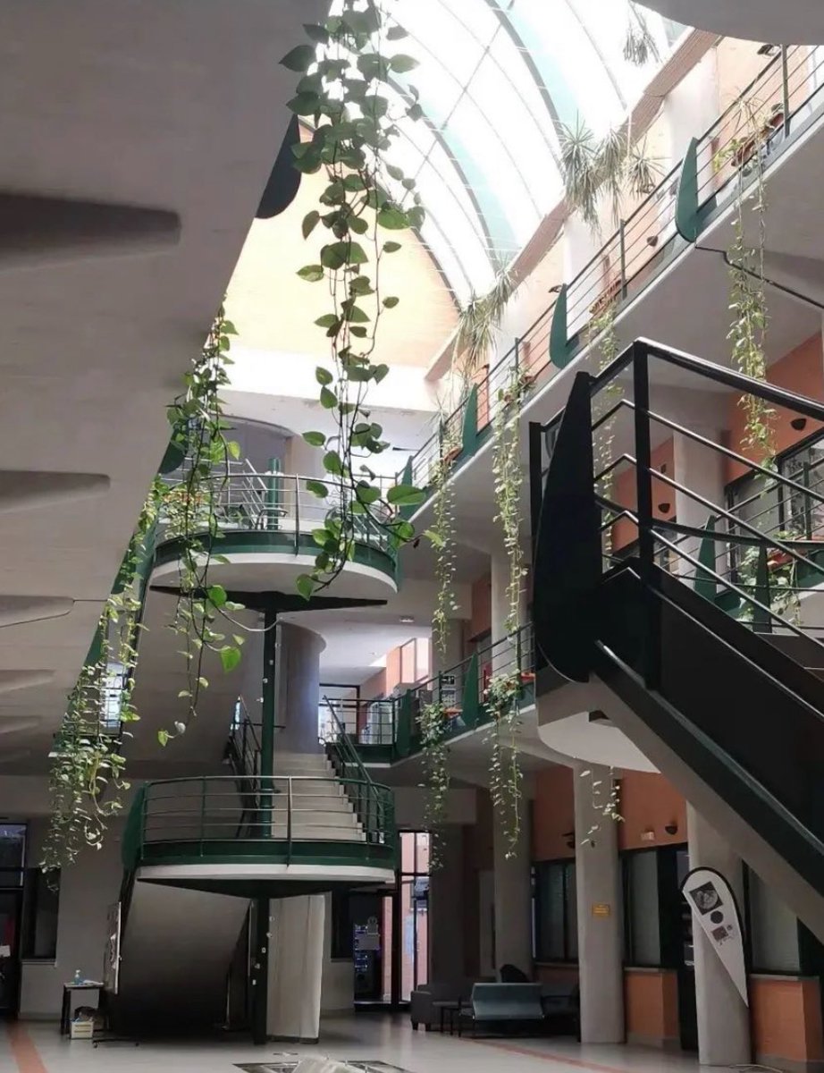 Centro Andaluz de Biología del Desarrollo tweet media