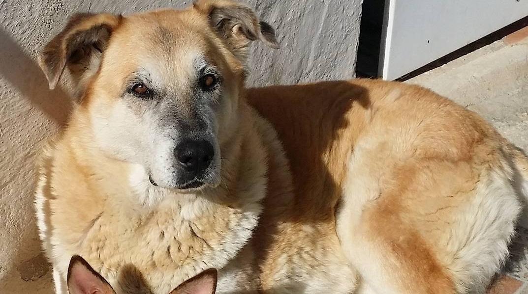 O2G | Duke tweet media