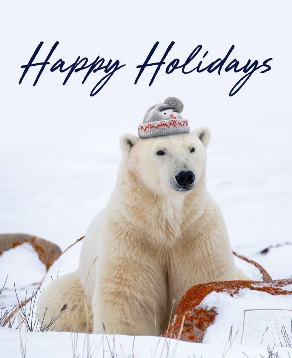 Abi 💙 #GameLoveGive (@polarbeartwitch) on Twitter photo 