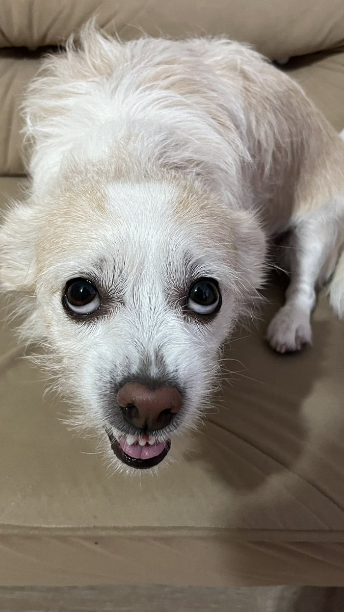 dusmanlarmi korkuntmak icin bole duruyorm