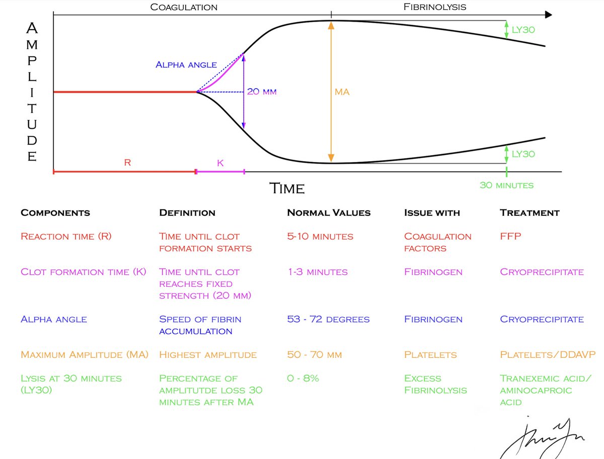 #ABSITE 2025 HEMATOLOGY 🅰️🅱️🅾️

🎧app.behindtheknife.org/podcast/behind…🎧