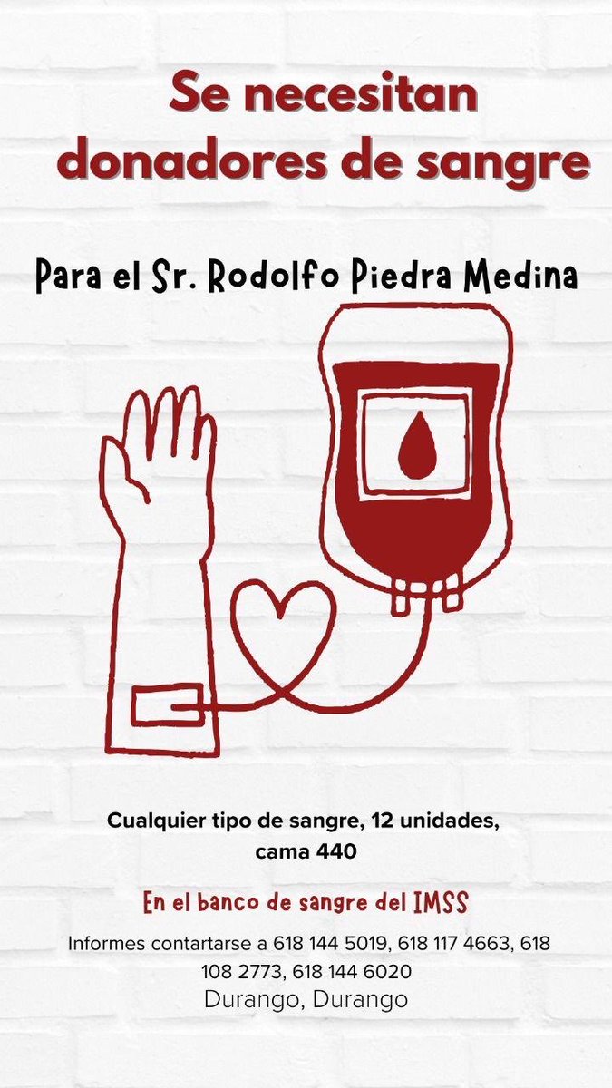 Servicio Social