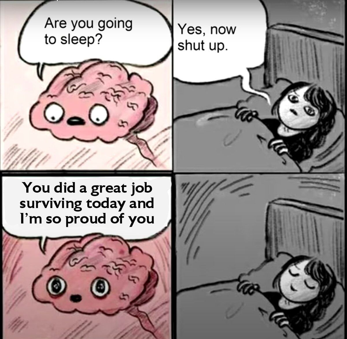 WholesomeMeme's tweet photo. https://t.co/xaDR6t3evj