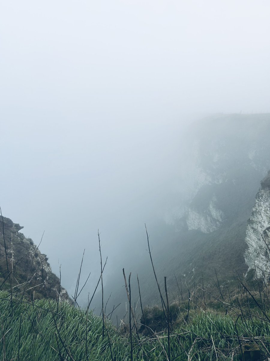 A wonderful day full of fog. Enchanting, restorative, peaceful.