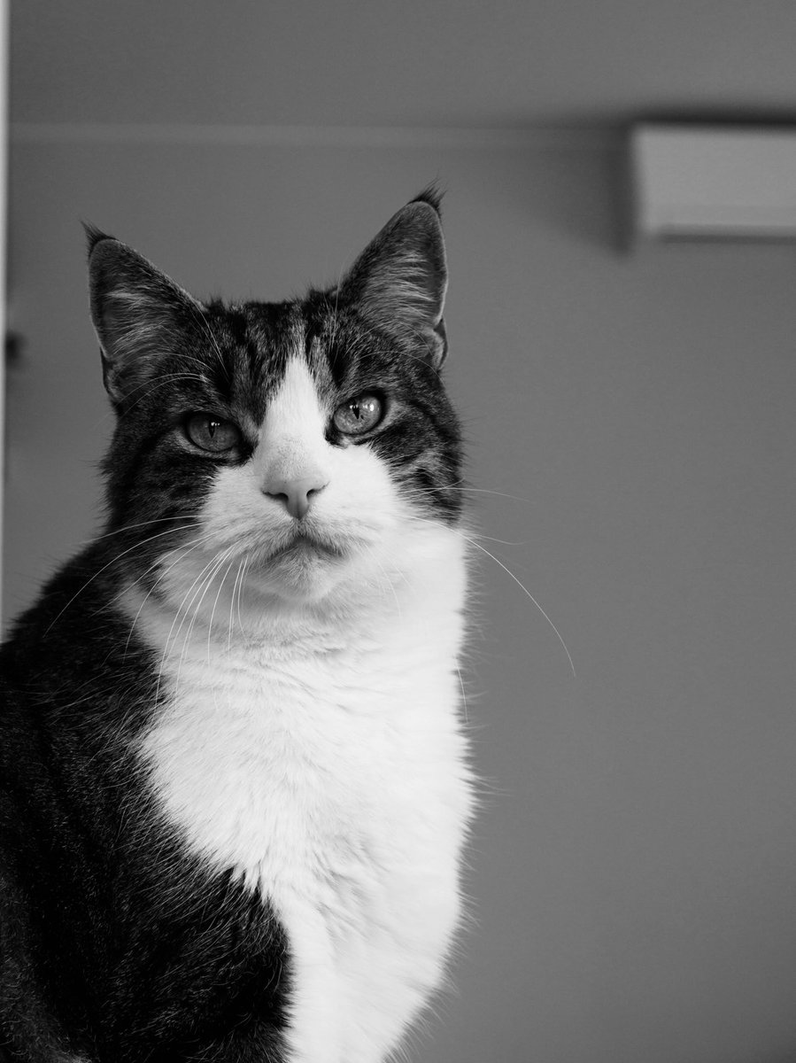 Had to say goodbye to my best friend of 18 years. The leader of our pack. Life will never be the same without you 💔