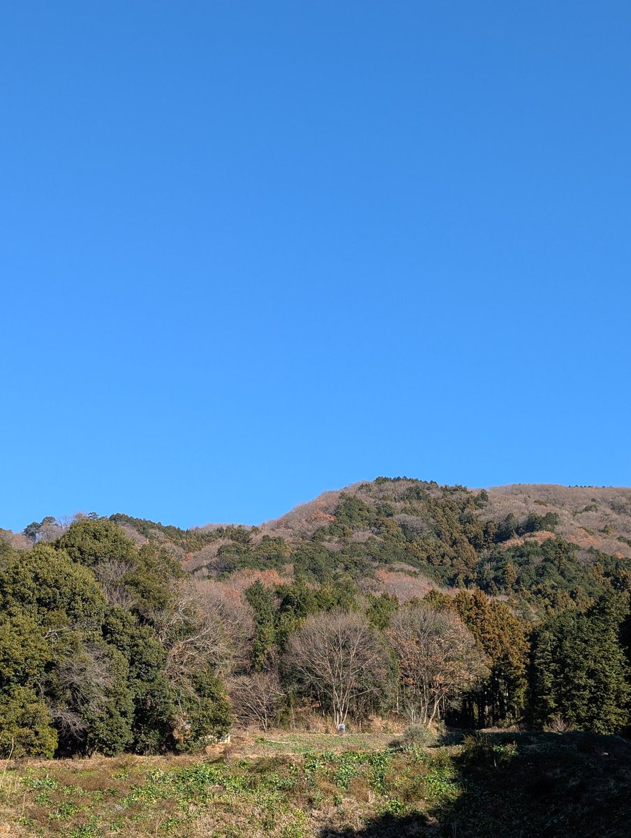 おはようございます
😺🤗😸
金曜日なんですね
みんな、今日で仕事終わりかな🥰
ラッコはずっと仕事🤣

楽しい年末年始過ごしくださいね
行ってきまーす
行ってらっしゃい👋

キャー(≧▽≦)