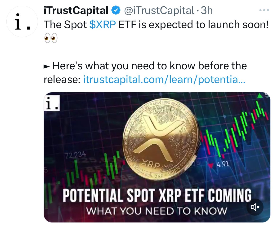 𝓐𝓶𝓮𝓵𝓲𝓮 tweet media