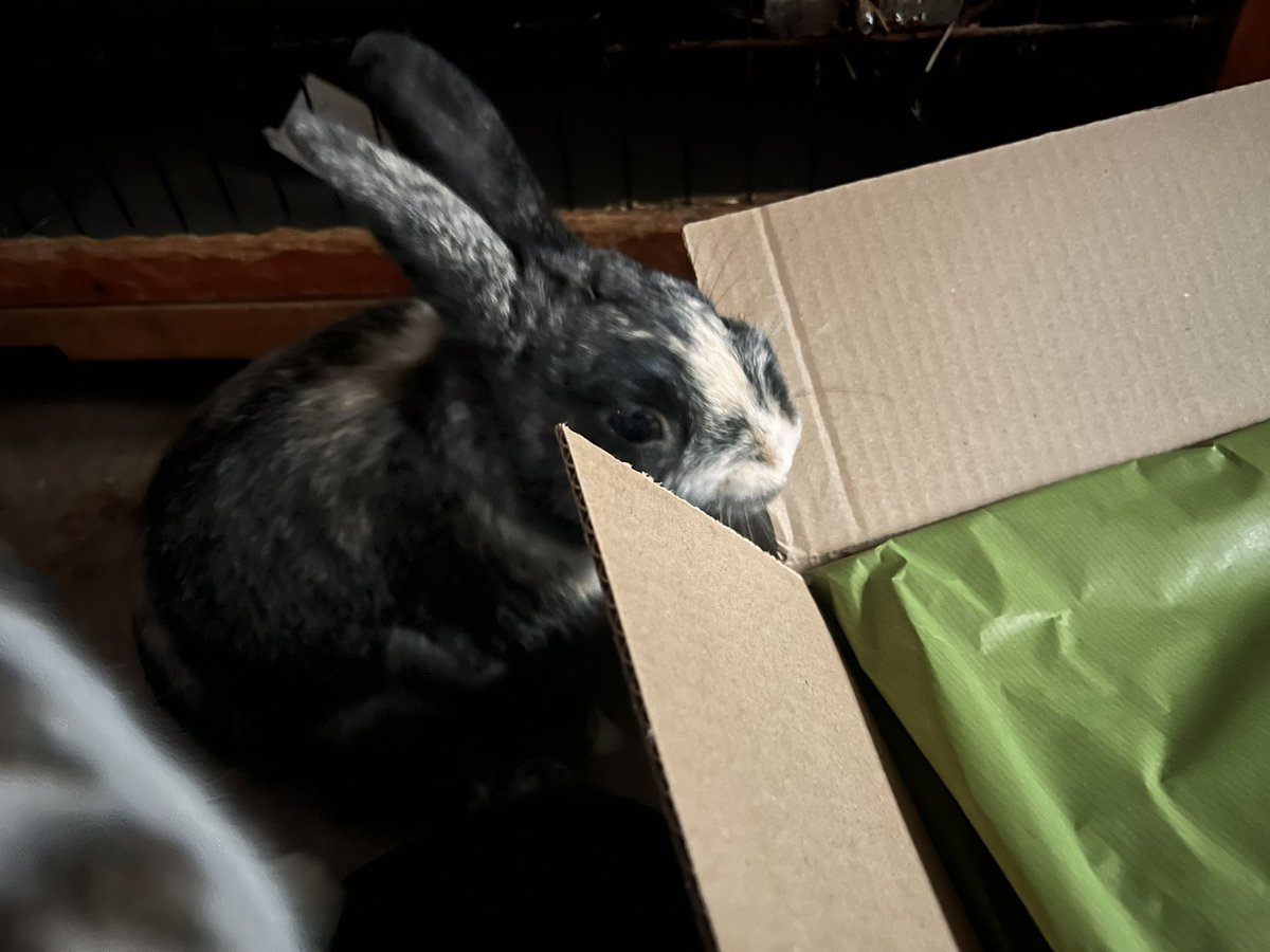 Opening of our #24bss parcel. What did we get?