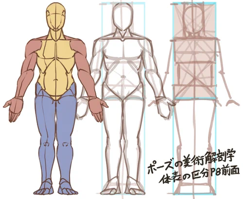 過去に学んだことを思い出しながら模写、右側の比率は今後ラクにする為に作りました。今回は練習感が強くなってしまったけど、次からは私なりに続けていくための工夫を加えていこうかと考えてます。 #100日ポーズ練習 