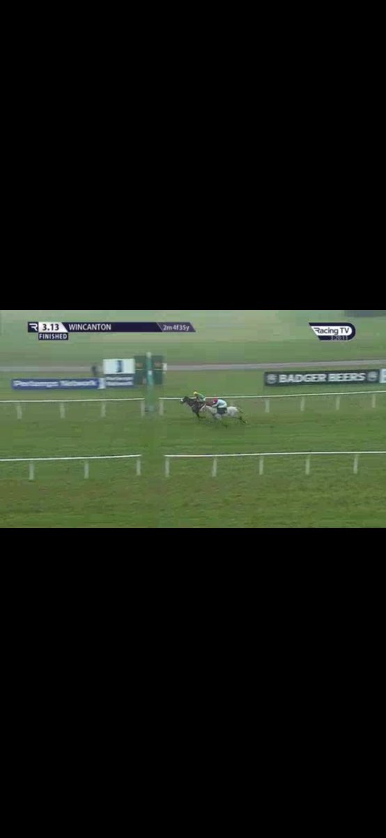 StudentCircle_'s tweet image. BOOOOOOOOM. Pedley Wood 10/1 😍😍🐎🐎