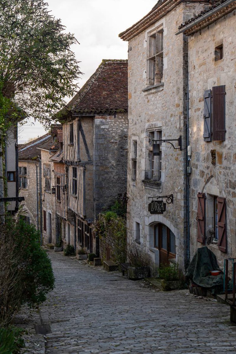 archi_tradition tweet picture