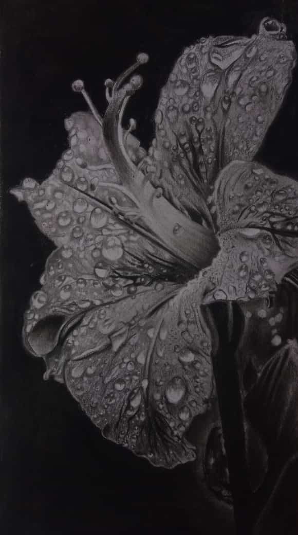 BaileyRave74172's tweet photo. Flower Drawing 🌺

#neotattoosmadurai #neoblackworld #neotattoos #madurai https://t.co/5osdddbMEw