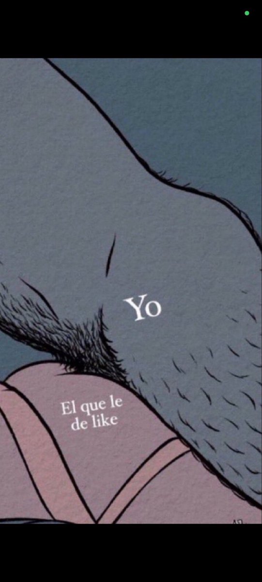 Dave 🐼 tweet media