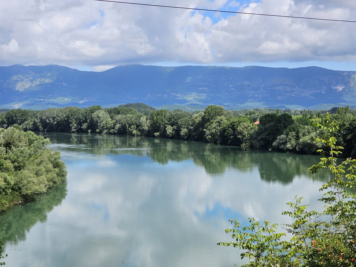 Adriatic sturgeon: A lost treasure in the Buna river!
A recent study confirms the absence of the Adriatic sturgeon (Acipenser naccarii) in the Buna River, raising the alarm for urgent conservation actions. 
Read more: bit.ly/4gQaRHH