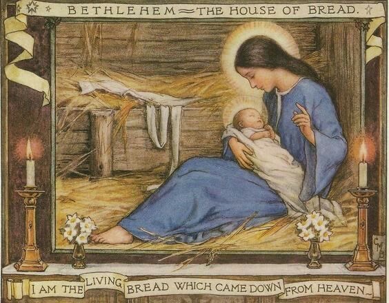 Discover Catholic Business tweet media