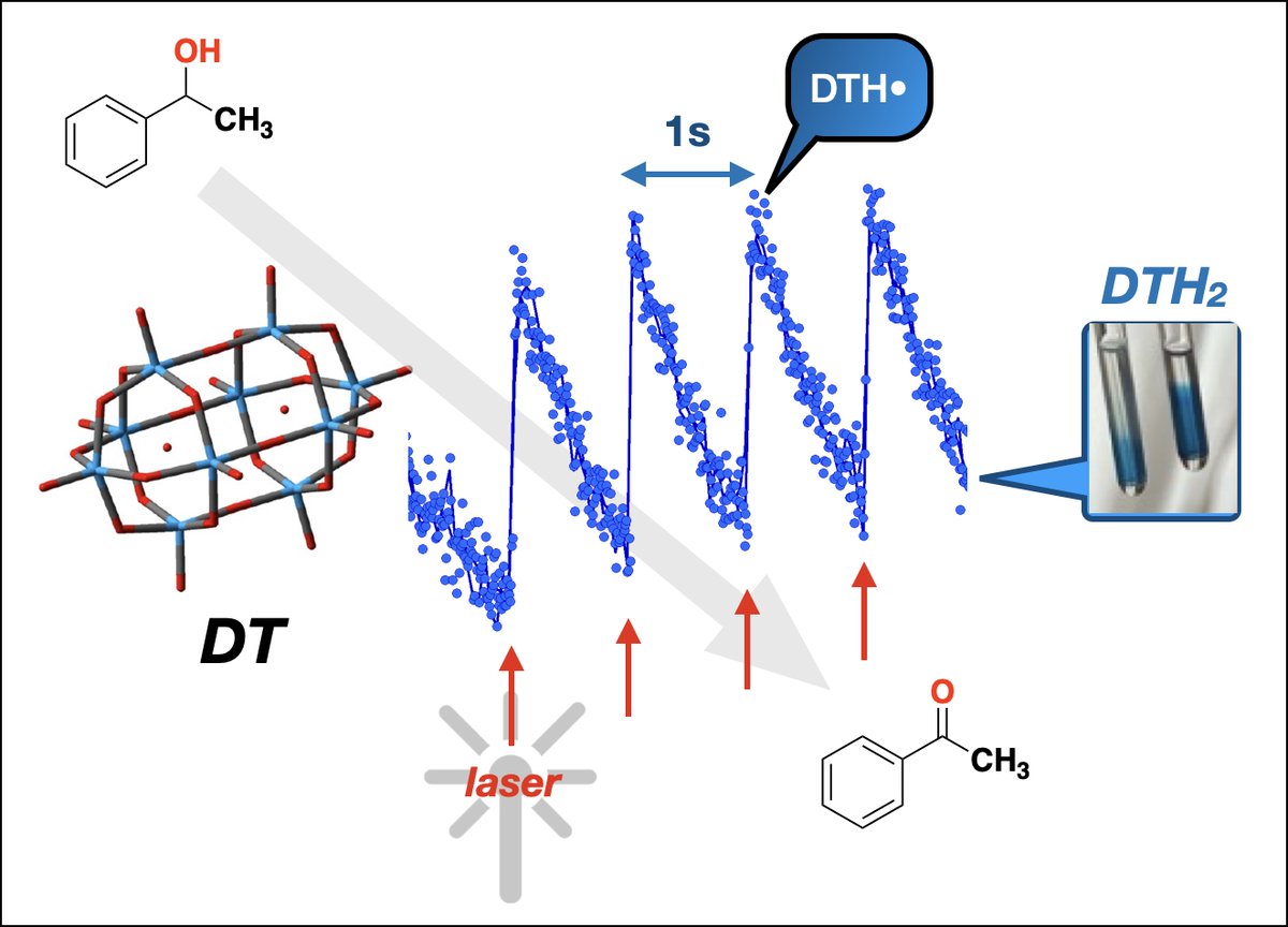 Our paper highlighting the importance of the persistent radical effect in decatungstate photochemistry has just been published in Catalysis Science and Technology
pubs.rsc.org/en/content/art…