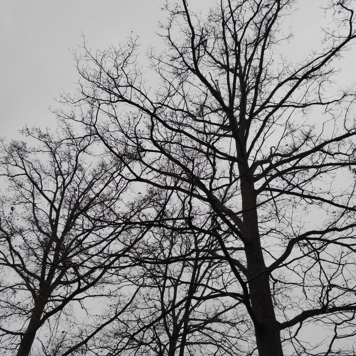 Je laisse
la source 
couler en moi.

#EverydayArt2024 day 346