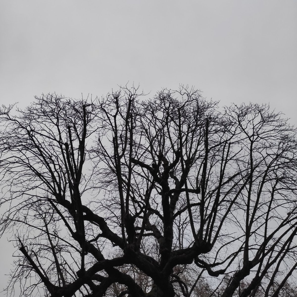 Juste s'asseoir.
Juste respirer.
Juste.

#EverydayArt2024 day 349