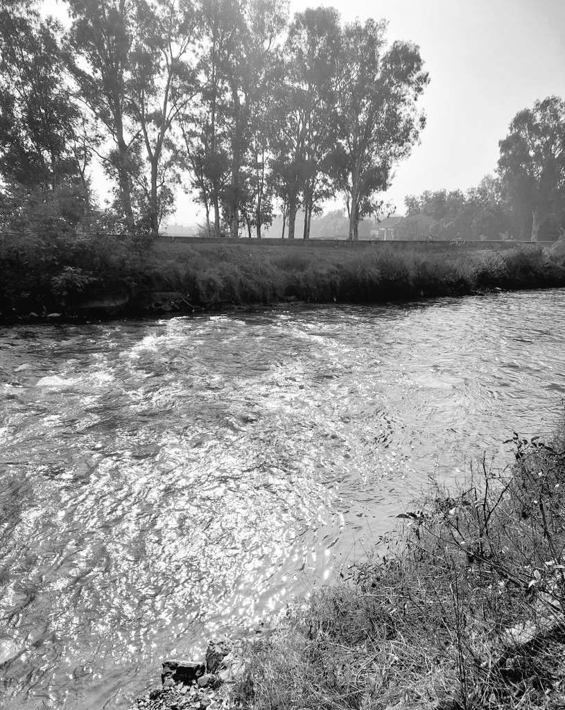 5aab4ever's tweet photo. Black and White Countryside
26 December
#ShotOnSnapdragon #ShotOnSamsung #Monochrome #blackandwhitephotography #XApp #ArtistOnTwitter #ArtistsOnX #XAndroidApp #Sunset #Water #landscapephotography #Punjab #India #Nature #Outback #Peace #Serenity #Harmony #HighContrast #5aab4ever https://t.co/CeKieUHL4P