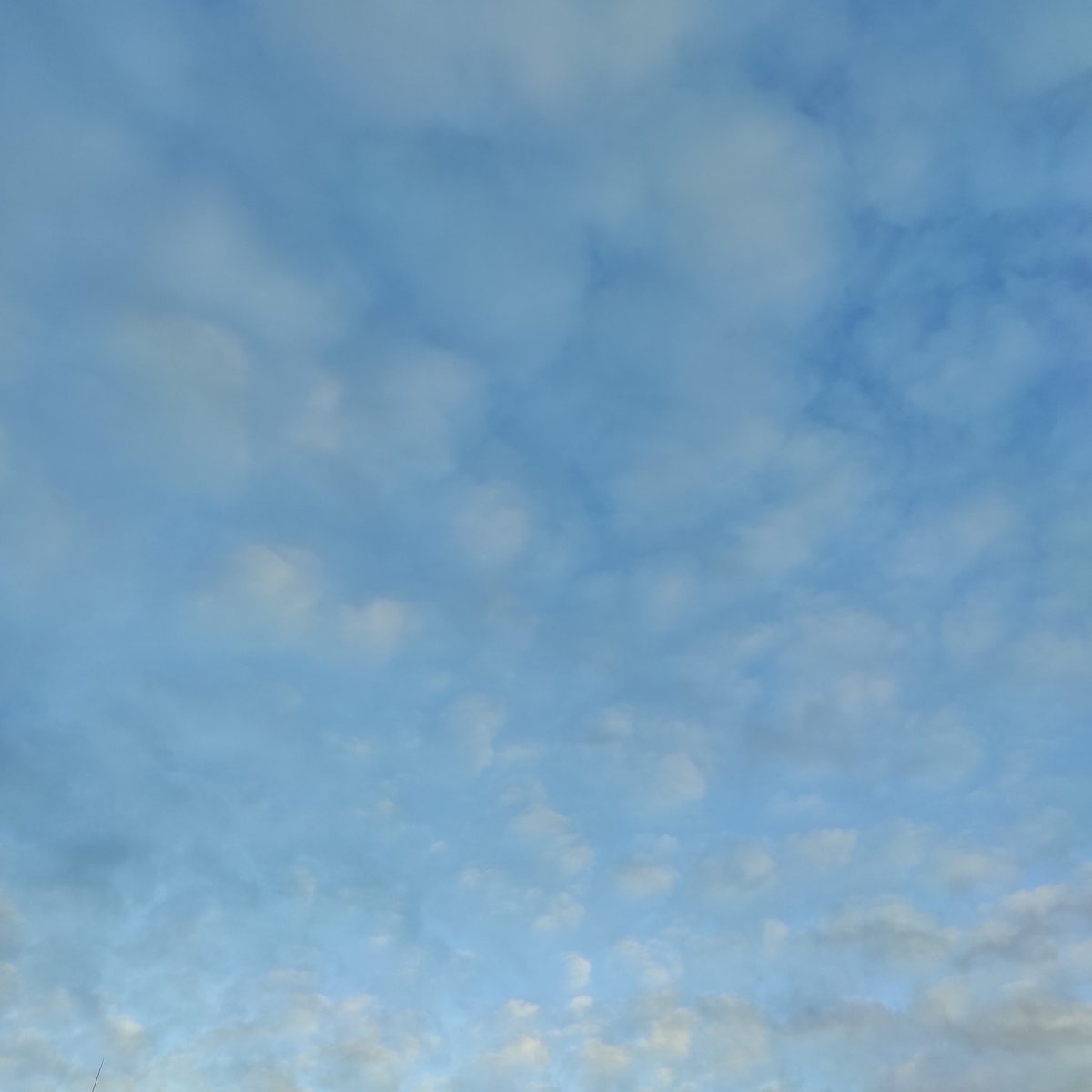 Je m'apaise dans le son
de leur respiration
endormie.

#EverydayArt2024 day 350