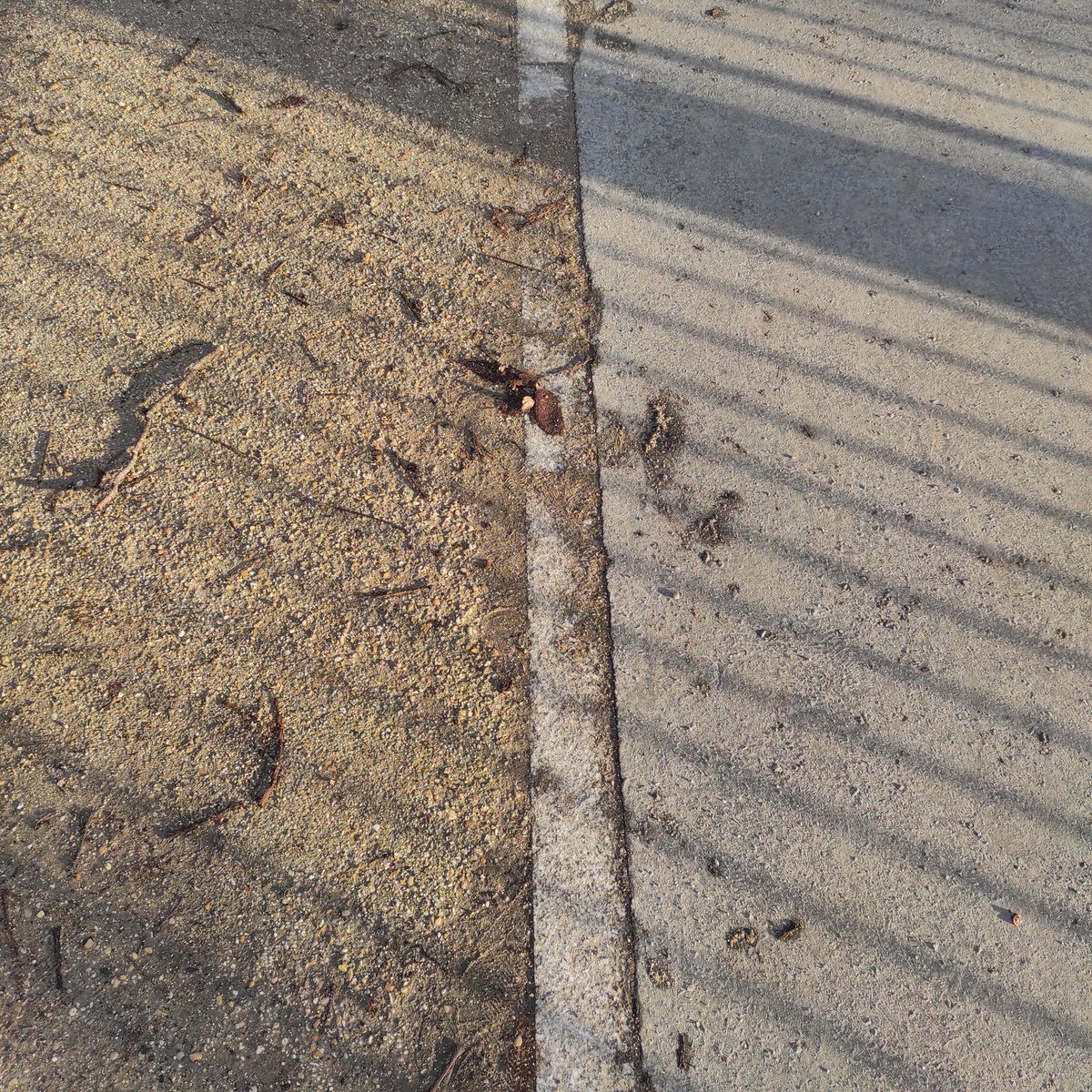 Ciel dégagé,
pluie prononcée :
un jour, une vie, une éternité. 

#EverydayArt2024 day 357