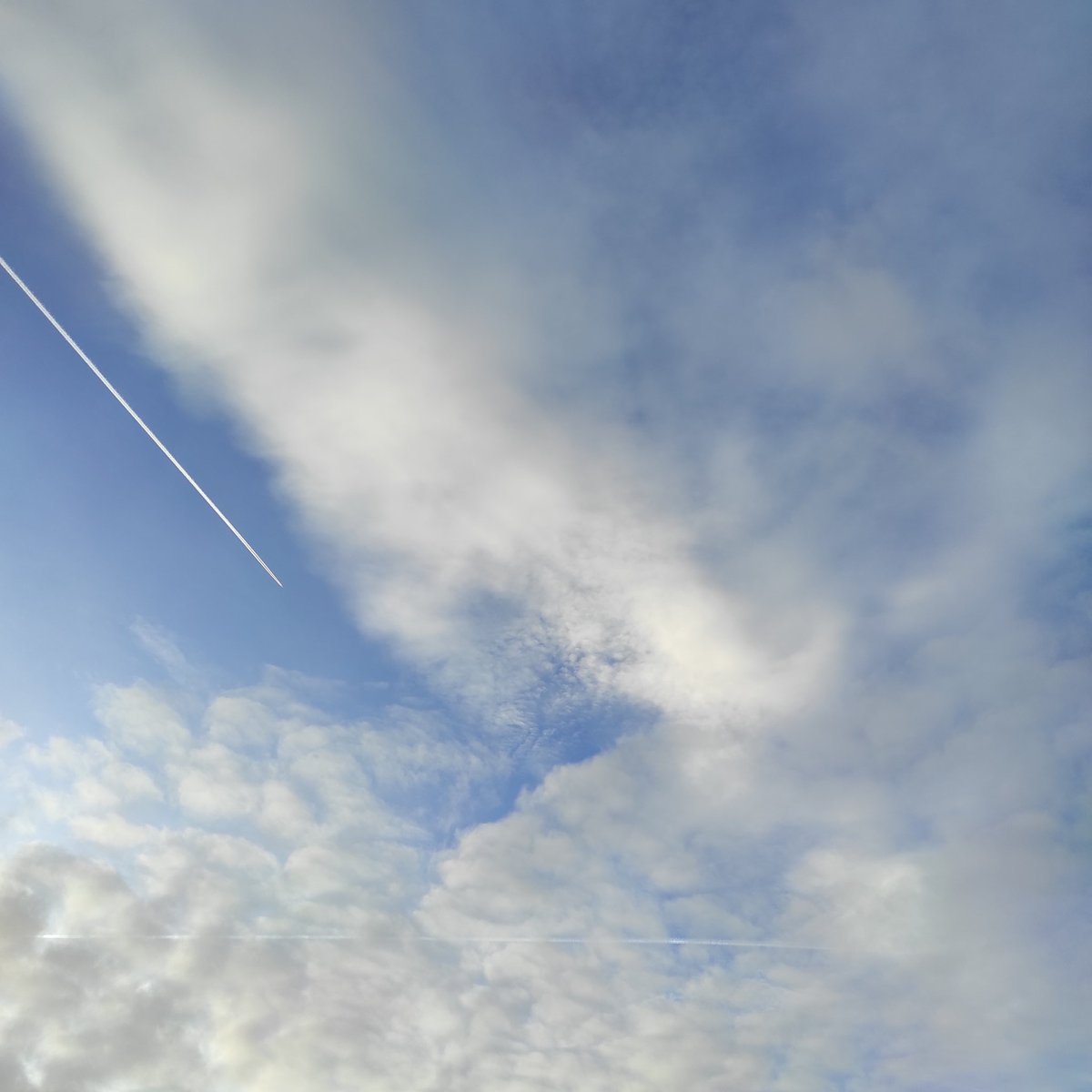 Je lis. 
Le monde dort.
L'univers parle d'intention.

#EverydayArt2024 day 355