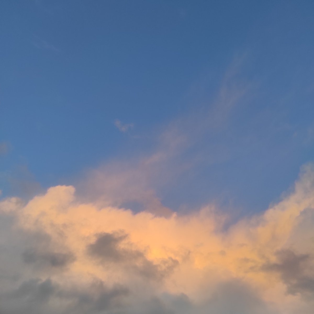 Nuit la plus courte ;
cœur plus léger
que la plume.

#EverydayArt2024 day 356