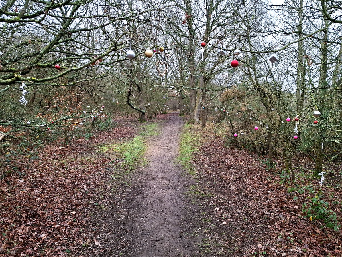 _VillageVoices's tweet photo. Out and about at High Halstow National Nature Reserve earlier today #highhalstow #hoopeninsula #strood #rochester #kent #nationalnaturereserve https://t.co/z644YhRMcE