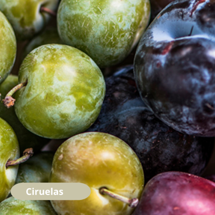 Evitar el estreñimiento💩 es esencial para las personas con lesión medular. La fruta🍏🍎🍐🍊🍌 es una gran aliada. Según la #Escueladepacientes, hay algunas que son especialmente beneficiosas.

¿Cuál es tu favorita? lc.cx/rvHx-z
#EVEN #lesionmedular #mashumanosquenunca