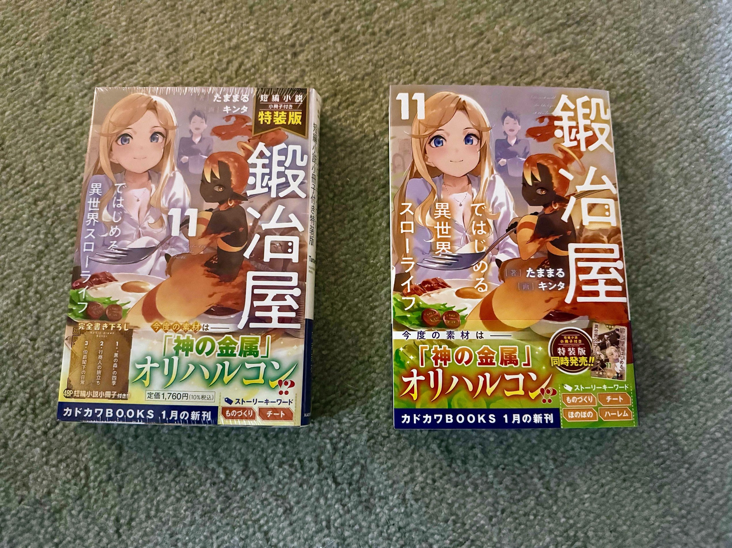 Amazon.co.jp: 鍛冶屋ではじめる異世界スローライフ1 (電撃