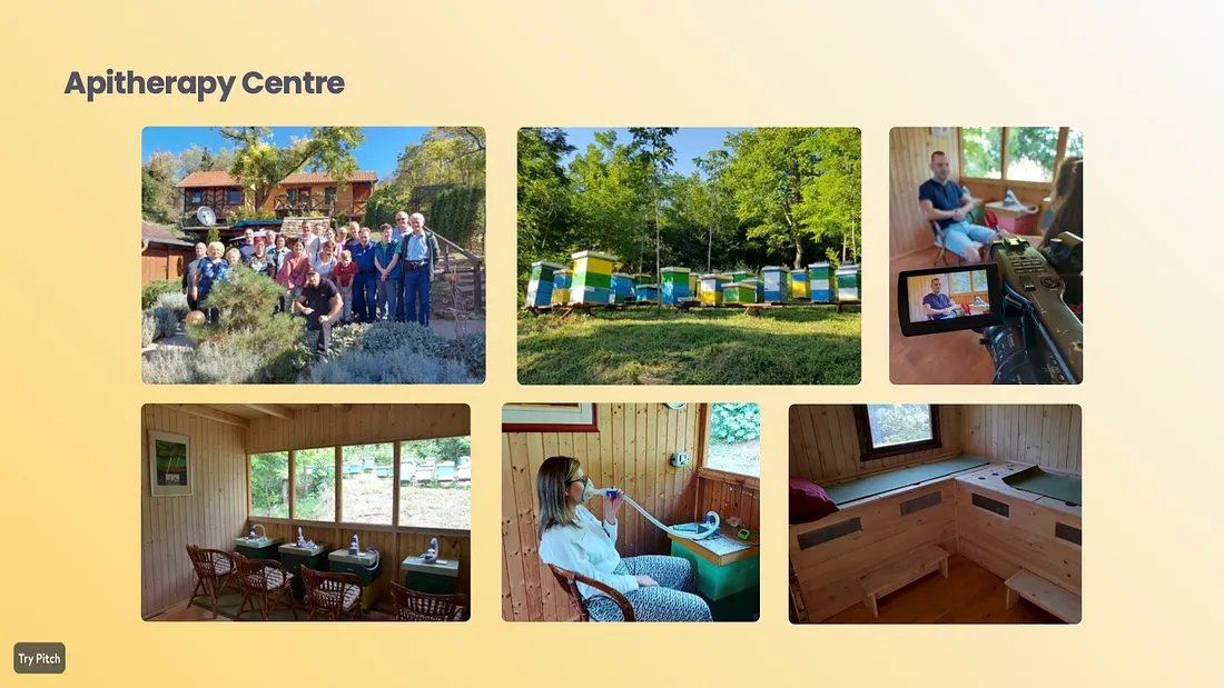 bite_validator's tweet photo. Education and Community Building

HiveBits Academy offers live and online courses on apitherapy and sustainable beekeeping. By educating and mentoring new beekeepers, HiveBits builds a knowledgeable community dedicated to preserving bee populations. https://t.co/ajvqfaRaZe