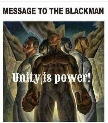 BlackHistoryStudies tweet media