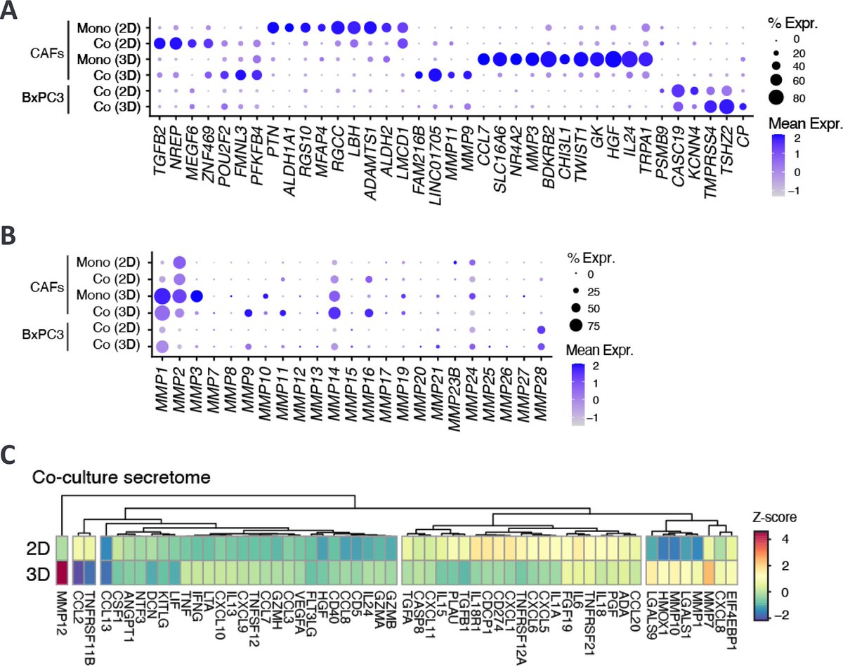 Exciting research update! <a href="/bmsnews/">Bristol Myers Squibb</a>  <a href="/TakedaPharma/">Takeda</a> , and <a href="/bioturing/">BioTuring</a>  are utilizing Neuromics Human Primary Pancreatic Cancer-Associated Fibroblasts to delve into genetic variations between 2-D and 3-D "in vivo" like assays. Learn more. tinyurl.com/yc7x3kka

Image: Image: Gene