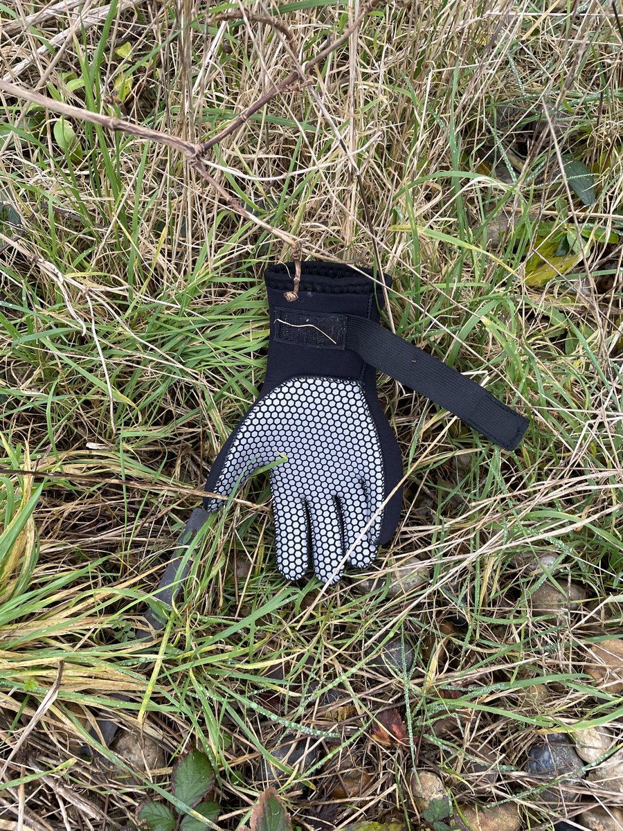 ⁦<a href="/singleglove/">lostglove</a>⁩ #Eastbourne