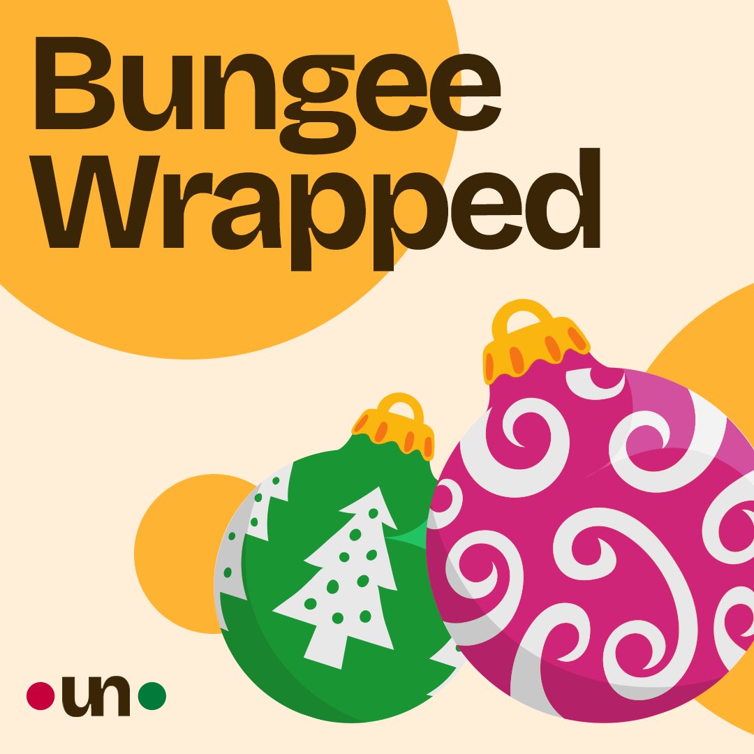 Bungee 🕵️ tweet media