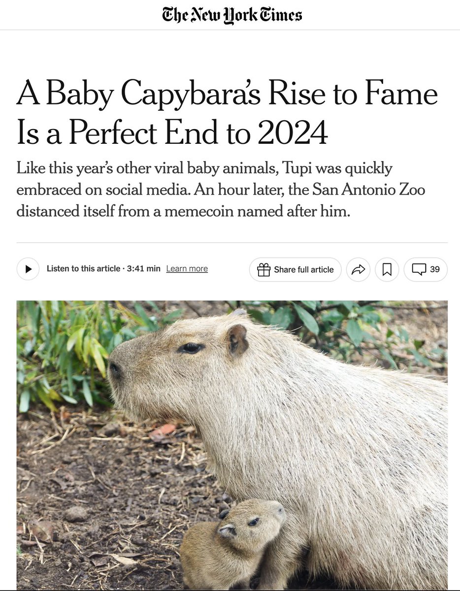 Objective tweet media