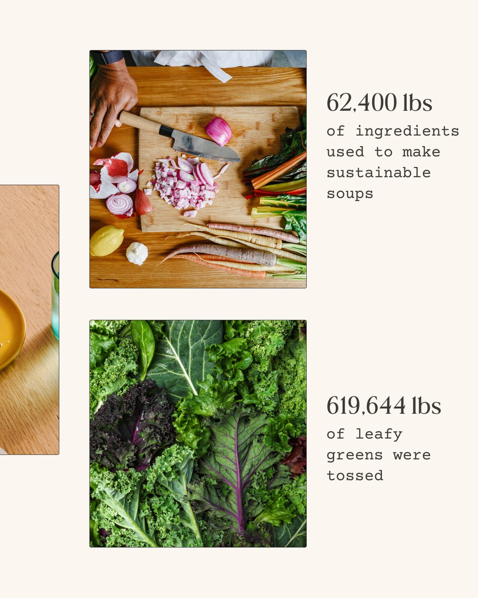 ThistleCo's tweet photo. From every bite of kale to every act of kindness, our customers made 2024 a year to relish. Thank you to each and every Thistler for being part of our mission in building a healthier, happier future for both people and the planet. Here’s what we stirred up together this year. https://t.co/THDELOfwDq