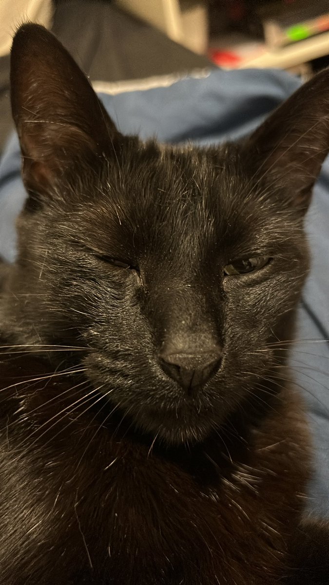 <a href="/shitpostnahui/">🧉.</a>